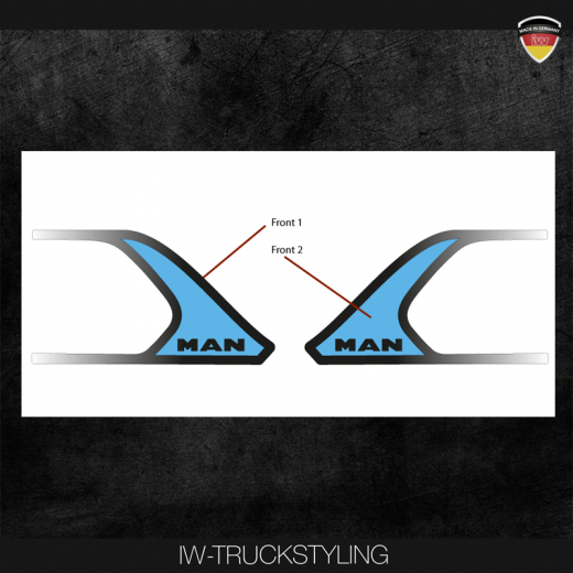Türgriffeinrahmung 2 MAN TGX