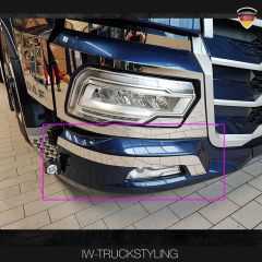 Edelstahlblende 1 für DAF