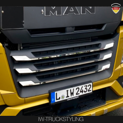 Edelstahl Zierleiste 2